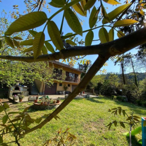 Bed & Breakfast Le cicale e la formica Casarza Ligure